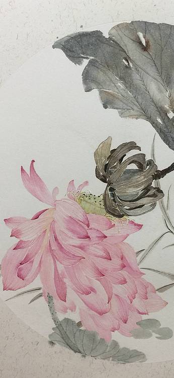 央美硕士 王珍 花鸟作品