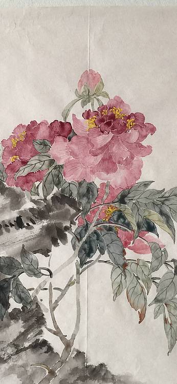 央美硕士 王珍 花鸟作品