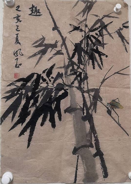 张凤玉  趣