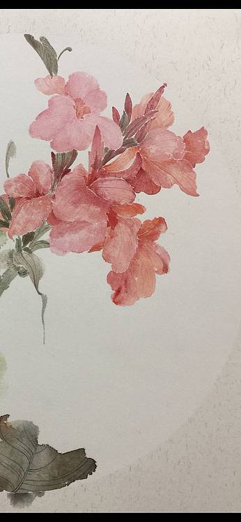 央美硕士 王珍 花鸟作品