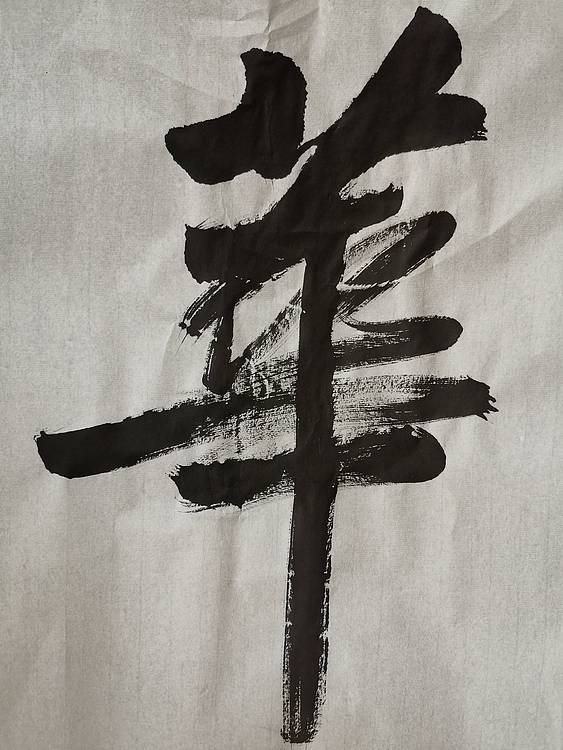 张成生  军旅书法家  大校书法行书精品