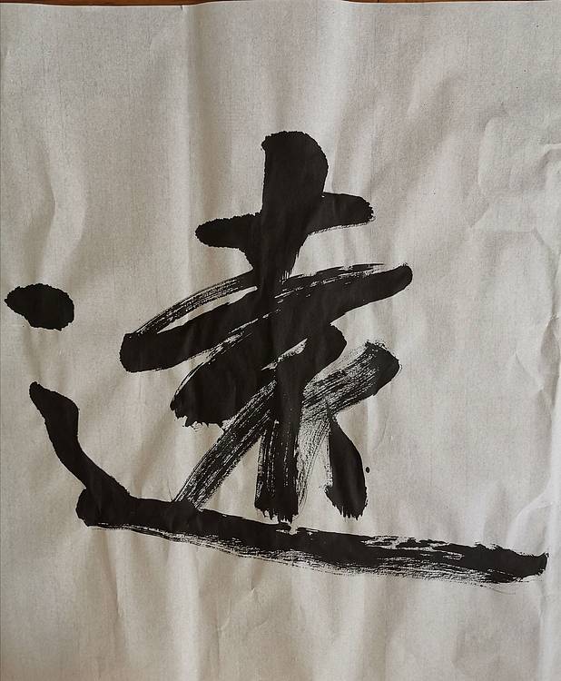 张成生  军旅书法家  大校书法行书精品