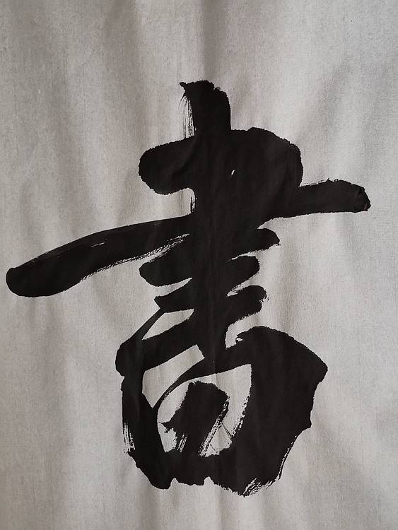 张成生  军旅书法家  大校书法行书精品
