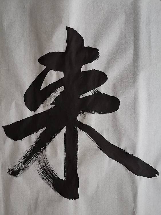 张成生  军旅书法家  大校书法行书精品