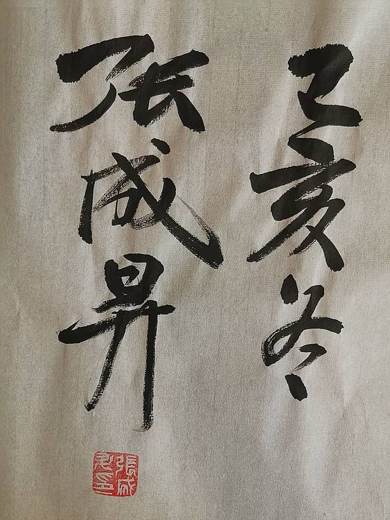 张成生  军旅书法家  大校书法行书精品