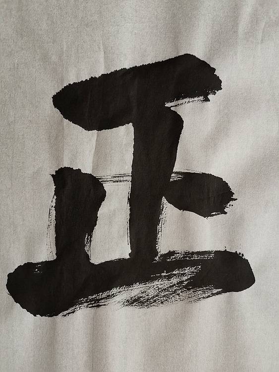 张成生  军旅书法家  大校书法行书精品