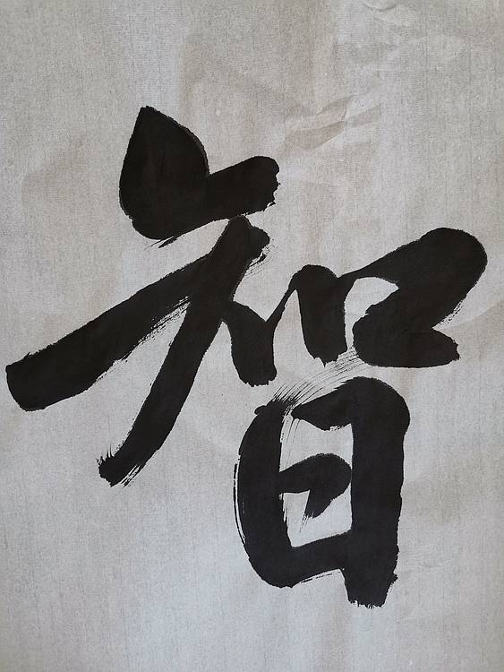 张成生  军旅书法家  大校书法行书精品
