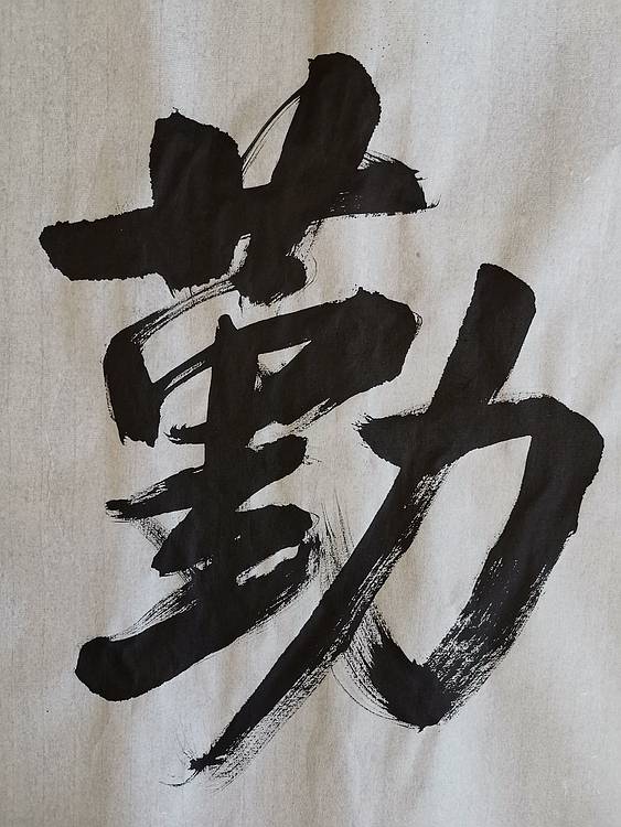 张成生  军旅书法家  大校书法行书精品