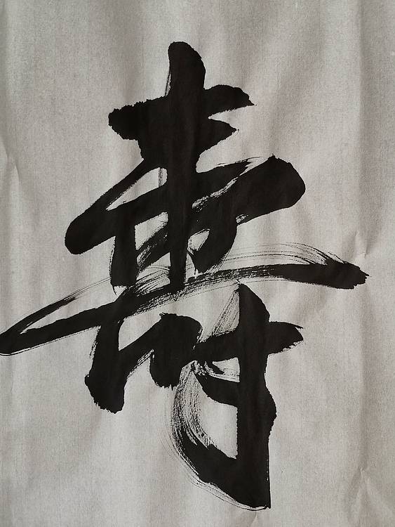张成生  军旅书法家  大校书法行书精品