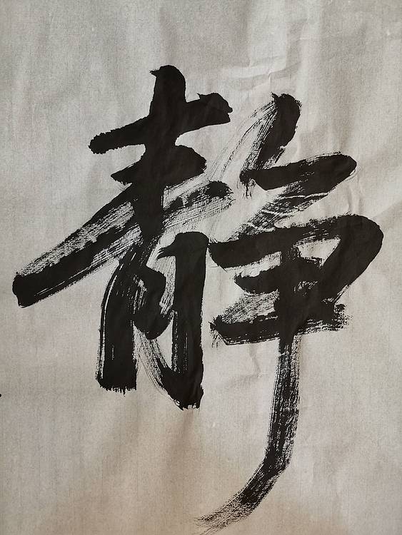 张成生  军旅书法家  大校书法行书精品