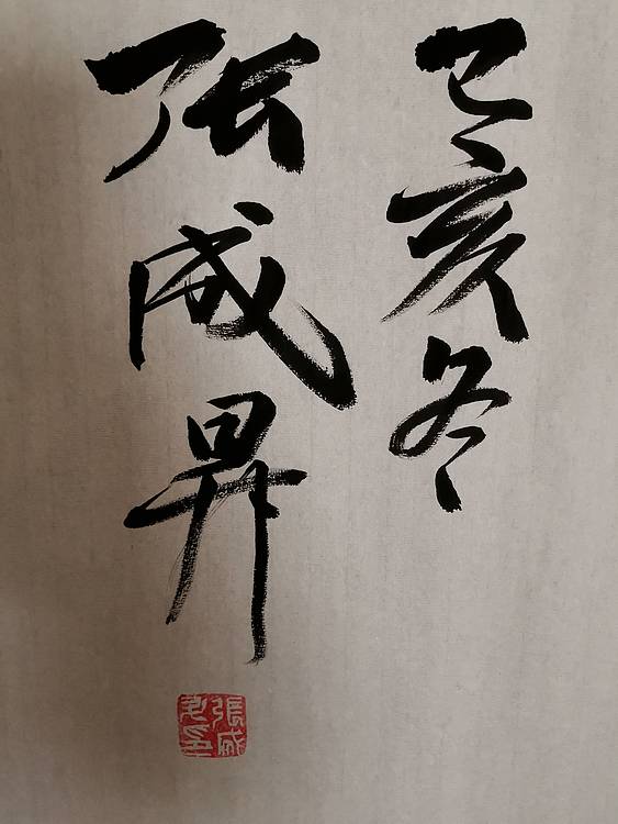 张成生  军旅书法家  大校书法行书精品
