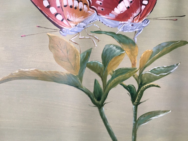 陈顺强手绘油画作品巜蝴蝶》