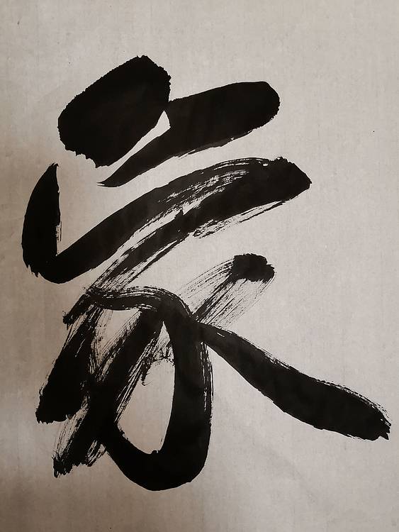 张成生  军旅书法家  大校书法行书精品