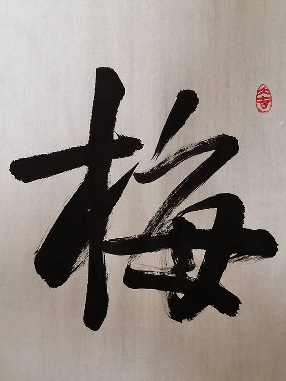 张成生  军旅书法家  大校书法行书精品