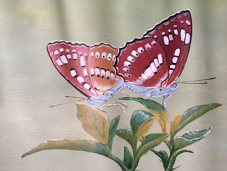 陈顺强手绘油画作品巜蝴蝶》