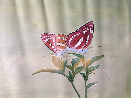 陈顺强手绘油画作品巜蝴蝶》