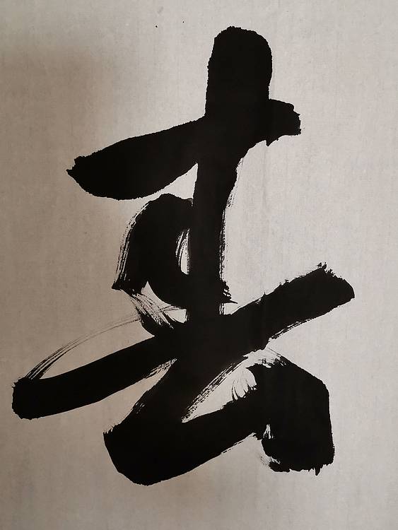张成生  军旅书法家  大校书法行书精品