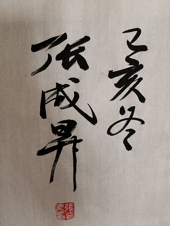 张成生  军旅书法家  大校书法行书精品