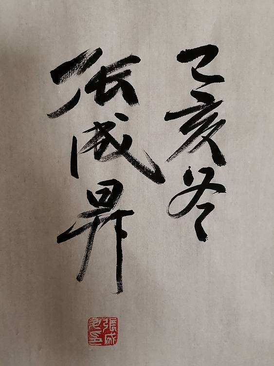 张成生  军旅书法家  大校书法行书精品