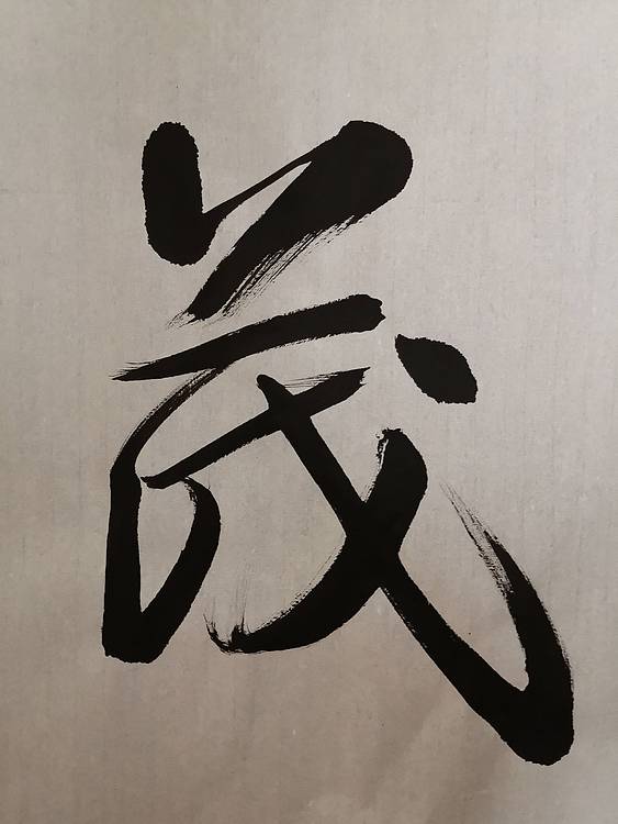 张成生  军旅书法家  大校书法行书精品