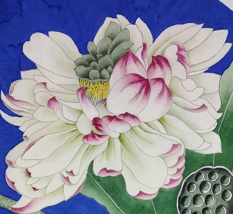 山东省工笔画院画家韩蕊荷花图