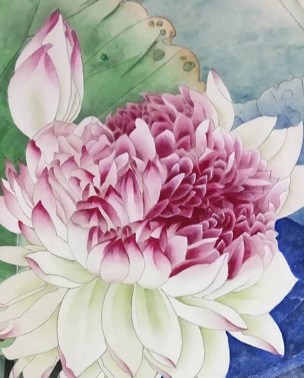 山东省工笔画院画家韩蕊荷花图