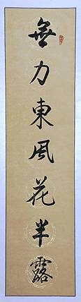 冯丽华  书法对联