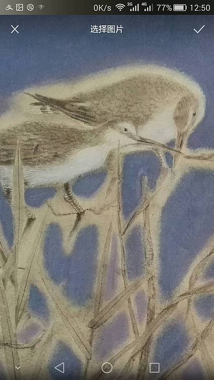 李海滨国画作品 « 风吹江又碧 »