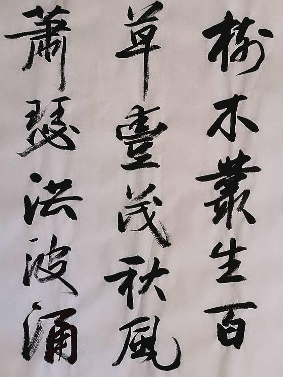 张成生 军旅书法家 大校书法行书精品