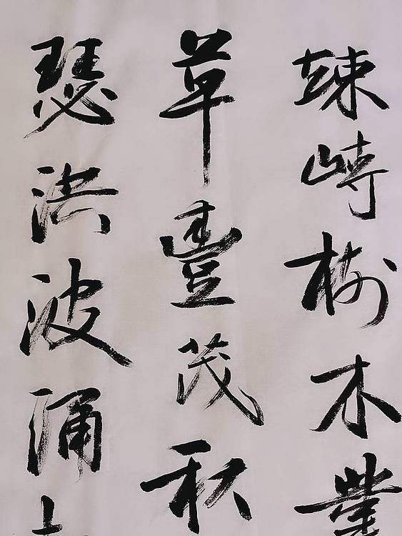 军旅书法家 张成生大校行书精品