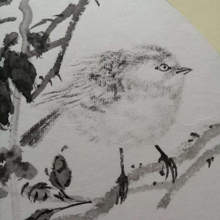 京师青年书画院副院长 陈玉平 花鸟作品