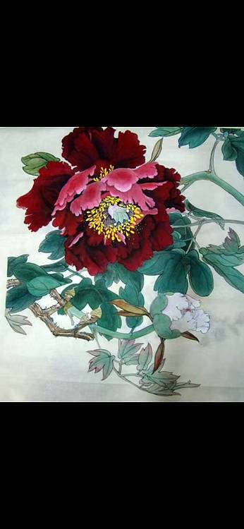 何鑫 牡丹