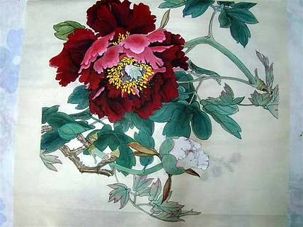 何鑫 牡丹