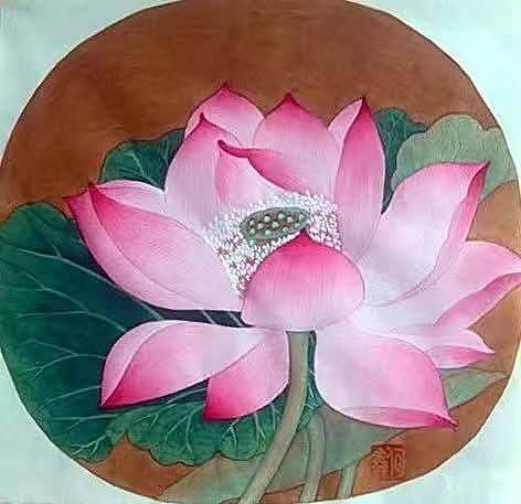 何鑫 荷花图