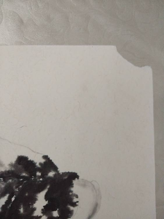 《欲动》中国艺术研究院硕士 王玉