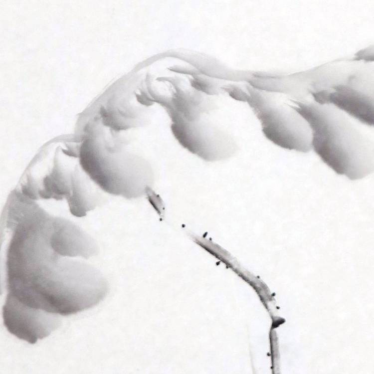 画家 马晓光 一花一世界