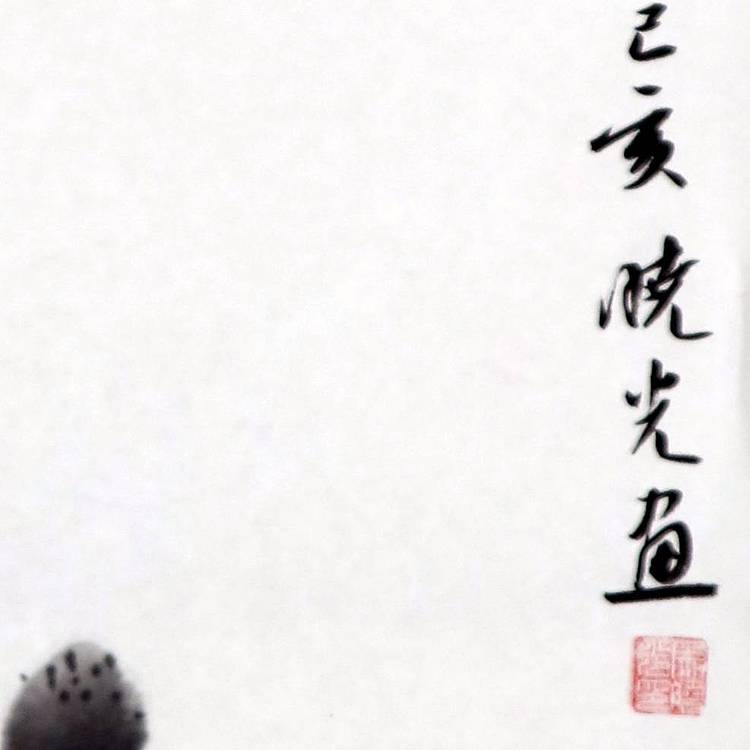 画家 马晓光 一花一世界
