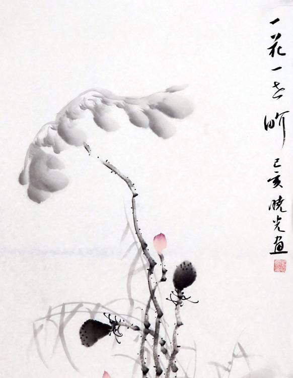 画家 马晓光 一花一世界