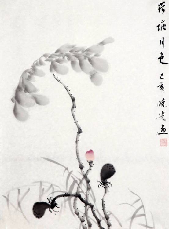 画家 马晓光 荷塘月色