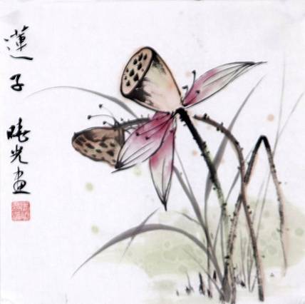 画家 马晓光 莲子