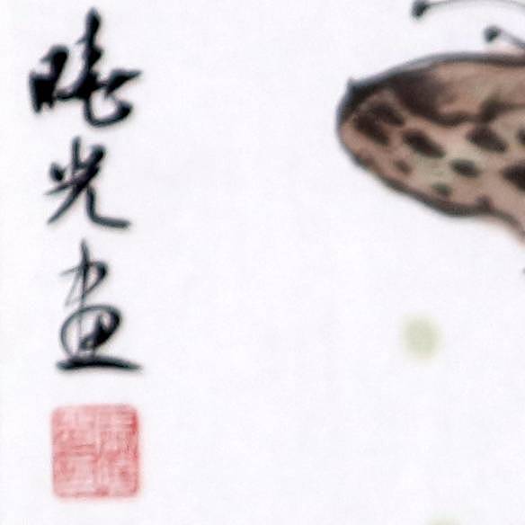 画家 马晓光 莲子
