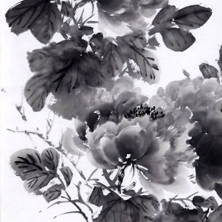 画家 马晓光 富贵花开