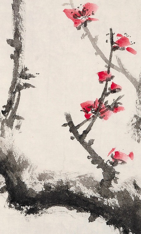 几支梅花出情来