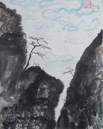 云雾松