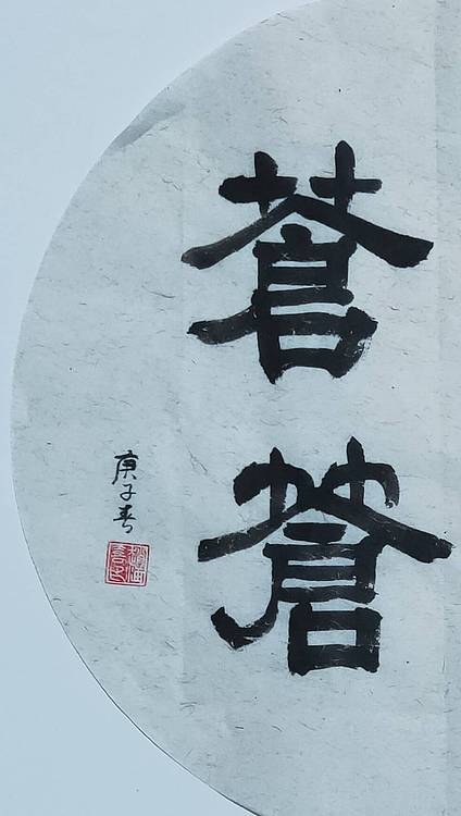 书法家赵海喜