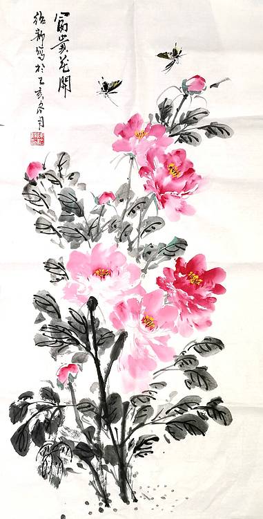 富贵花开