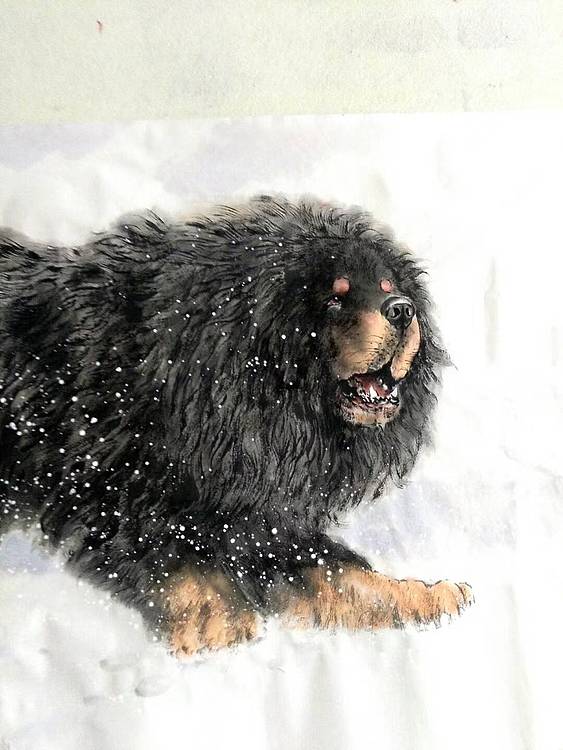 獒行天下