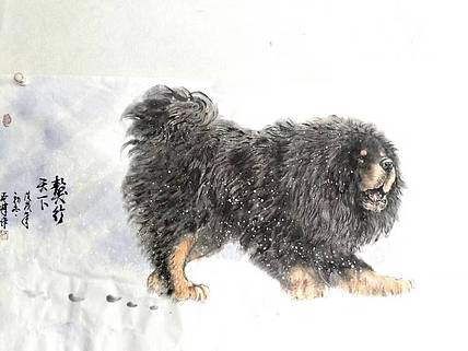 獒行天下