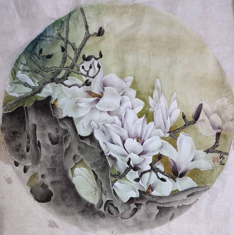 山东省当代工笔画院画家韩蕊工笔玉兰图