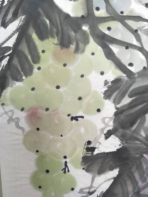葡萄